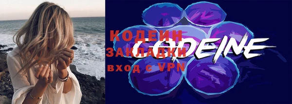 гашик Семилуки