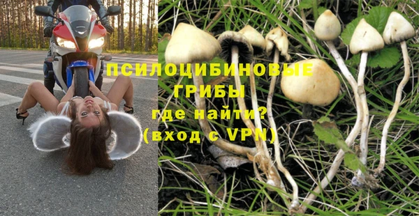 первитин Алексеевка