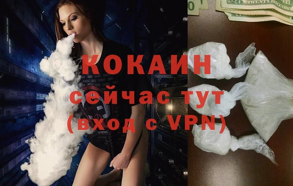 винт Алексин