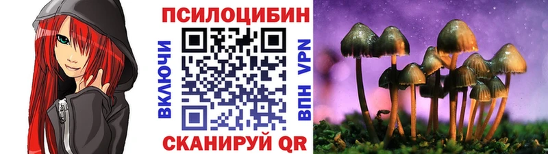 Галлюциногенные грибы GOLDEN TEACHER  сколько стоит  Бакал 